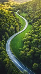 Winding river meanders through vibrant greenery under warm golden light creating a serene view