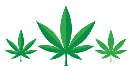 cannabis leaf isolated on white, marijuana leaf vector, ganja illustration
