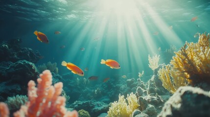 Fototapeta premium A school of vibrant tropical fish swimming among coral reefs in a pristine underwater scene.
