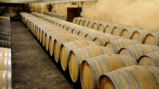 Wine barrels in cool cellar, Sancerre, Loire, France