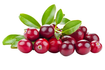 Obraz premium Cranberries on a white or transparent background.