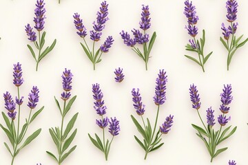 Fototapeta premium Lavender flowers in purple tones on a cream background. Seamless pattern