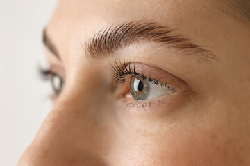 Beautiful woman after lash laminating and tinting procedure on light background, closeup