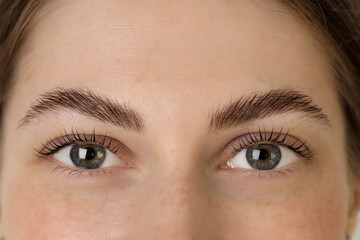 Obraz premium Beautiful woman after lash laminating and tinting procedure, closeup