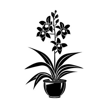 black orchid plant in pot clip art preview