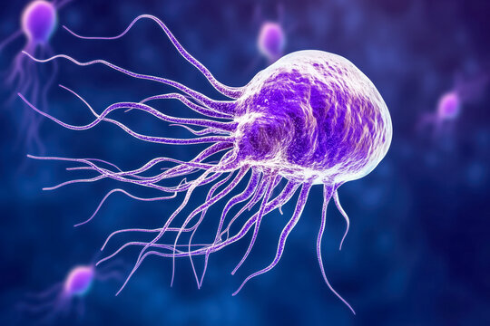 Protozoan parasite infecting a host cell, depicting the interaction between the parasite and host organelles