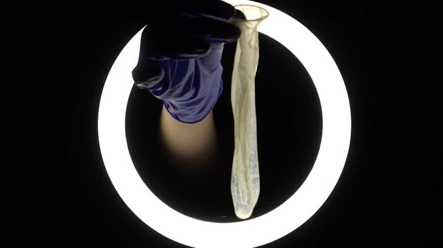 female hands in blue rubber latex gloves open, unfold, stretch and test the strength of a condom close-up on a black background. protection against sexually transmitted diseases and contraception