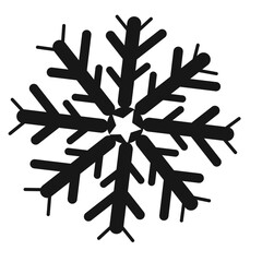 Snowflake Ice Crystal Flat Icon Isolated Vector Illustration