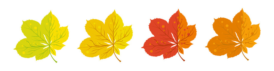 Autumn chestnut leaves yellow red and orange - vector illustration