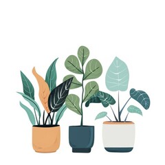 Plants in Pots with Diverse Leaves on White Background.