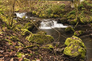 Die Flusstreppe im Flussbett  der Sieg.
Mit Herbststimmung und Farben.

