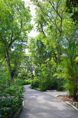 Märchenhafter Weg durch tropische Parklandschaft