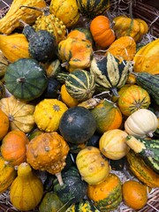 Calabazas de otoño