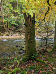 Romantic rivers - Metuje, Czech republic