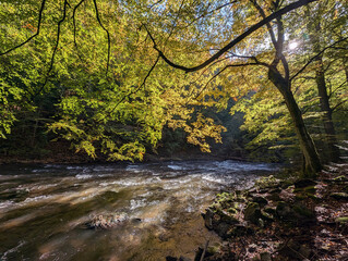 Romantic rivers - Metuje, Czech republic