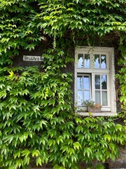 Essen Margarethenhöhe Fenster