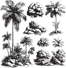 Detailed vintage illustration showcasing a variety of palm trees and lush vegetation, creating a tropical and exotic atmosphere