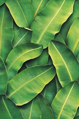 Seamless banana leaf pattern, repeated across