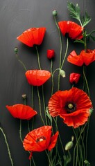 Obraz premium Beautiful poppies flowers in a stylish composition, embodying the essence of springtime botanical