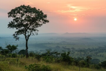 A serene sunrise over the savannah in the Central African Republic, showcasing the beauty