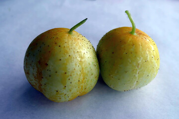Two yellow lemon cucumbers resting on white surface