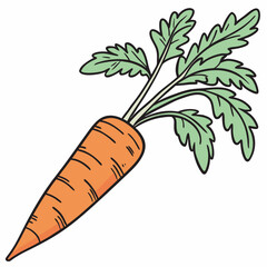 carrots and carrot