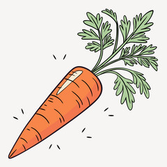 illustration of a carrots