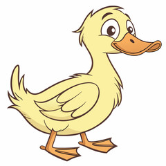 duck isolated on white