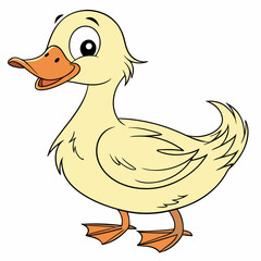 duck isolated on white background