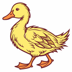 duck isolated on white