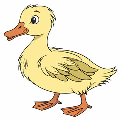 duck isolated on white