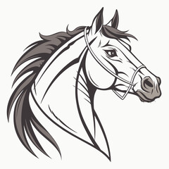 horse illustration