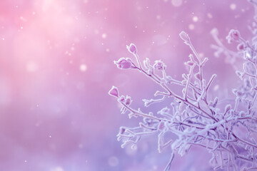 Delicate openwork flowers in the frost. Gently lilac frosty natural winter background. Beautiful winter morning in the fresh air. Banner. free space for inscriptions