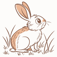 rabbit illustration