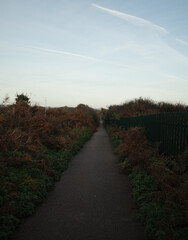 Walking path 