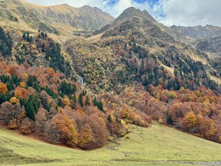 Hayedo abetal pirenaico en otoño