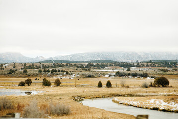 winter snow covered fir trees on mountainside on blue sky background