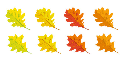 Autumn oak leaves yellow red and orange - vector illustration