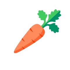 Organic Carrot vegetable  - 1