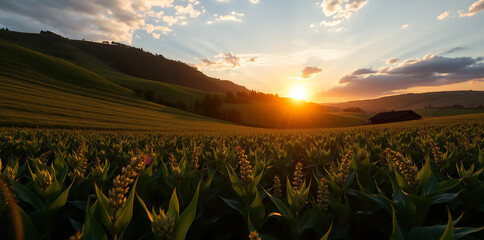 a vibrant green soybean field, golden sunset skies, lush nature landscape