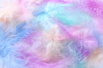 Obraz premium Background of fluffy feathers. Pastel colors