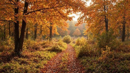 Obraz premium Vibrant autumn forest symbolizes transformation and moving forward