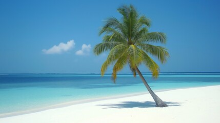 Obraz premium Freedom tropical beach background. Beautiful palm tree over white sand beach.