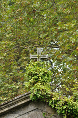 Stone cross on top of a roof covered by vegetation, Christian religion symbol, ancient, aged