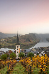 River in the fog winds through a valley between vineyards in a 180 degree loop. A great landscape and lighting in the morning. Church tower, Moselle, Bremm, Moselle loop, Rhineland-Palatinate, Germany