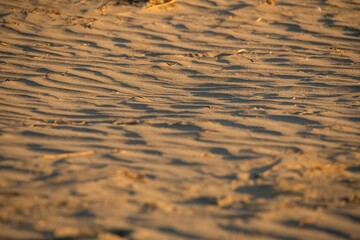 ripples in the sand