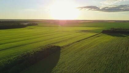 Obraz premium sunrise over the field