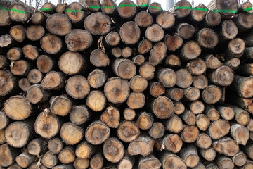 felling of the forest, wood for fireplace