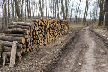 felling of the forest, wood for fireplace