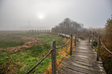 A wooden walkway or pier leads through a nature reserve in thick fog. Landscape shot in the middle of nature in autumn. Baldenau castle ruins, Morbach, Hunsrück, Rhineland Palatinate